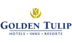  Golden Tulip